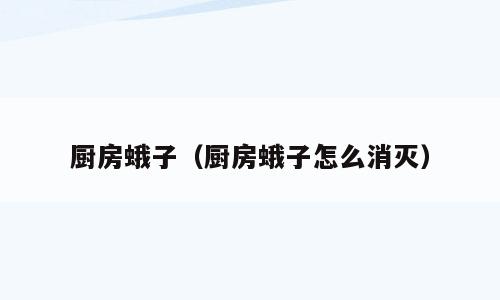 厨房蛾子（厨房蛾子怎么消灭）