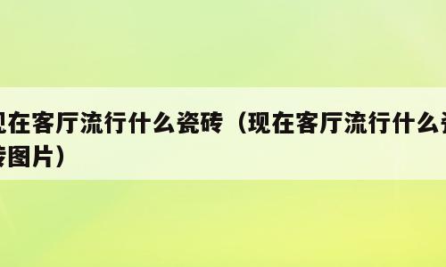 现在客厅流行什么瓷砖（现在客厅流行什么瓷砖图片）