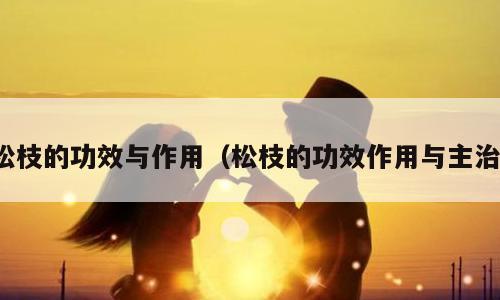 松枝的功效与作用（松枝的功效作用与主治）