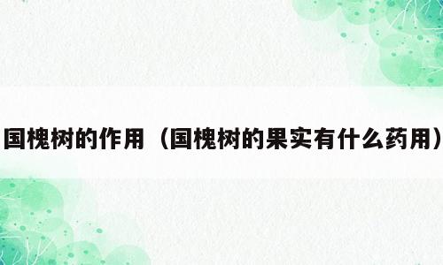 国槐树的作用（国槐树的果实有什么药用）
