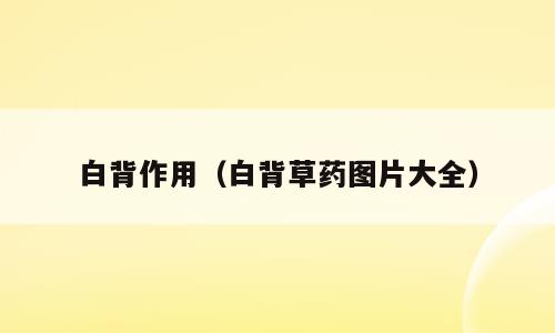 白背作用（白背草药图片大全）