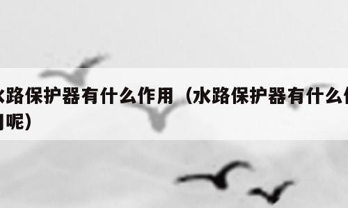 水路保护器有什么作用（水路保护器有什么作用呢）