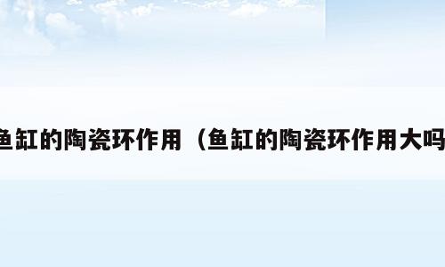 鱼缸的陶瓷环作用（鱼缸的陶瓷环作用大吗）