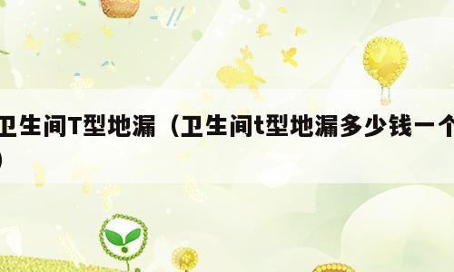 卫生间T型地漏（卫生间t型地漏多少钱一个）