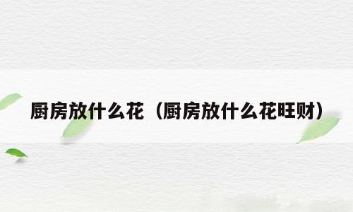 厨房放什么花（厨房放什么花旺财）