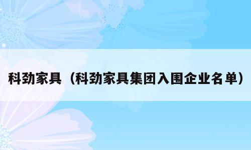 科劲家具（科劲家具集团入围企业名单）
