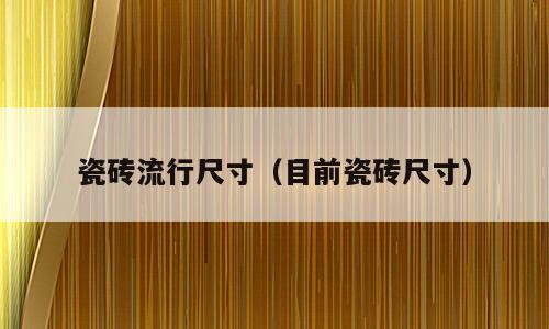 瓷砖流行尺寸（目前瓷砖尺寸）