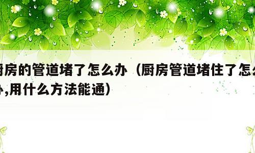 厨房的管道堵了怎么办（厨房管道堵住了怎么办,用什么方法能通）