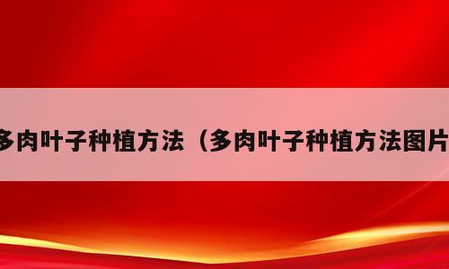 多肉叶子种植方法（多肉叶子种植方法图片）