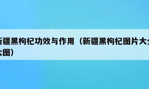 新疆黑枸杞功效与作用（新疆黑枸杞图片大全大图）