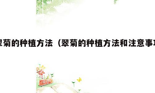 翠菊的种植方法（翠菊的种植方法和注意事项）