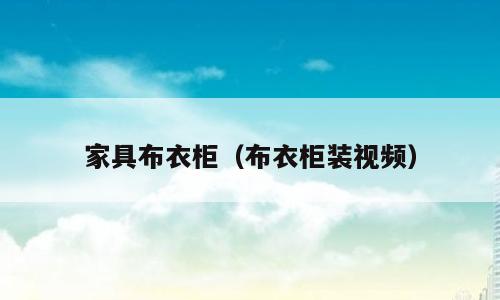 家具布衣柜（布衣柜装视频）