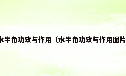 水牛角功效与作用（水牛角功效与作用图片）
