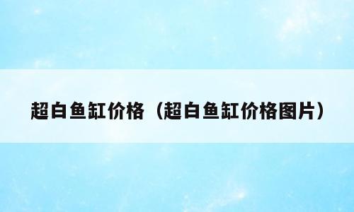 超白鱼缸价格（超白鱼缸价格图片）