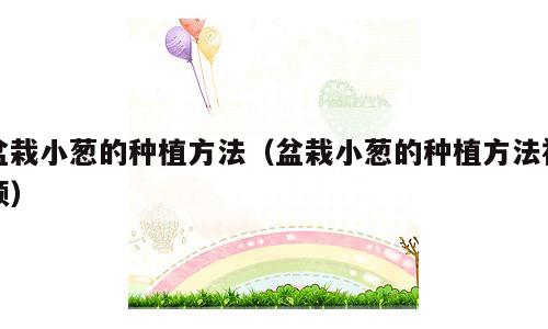 盆栽小葱的种植方法（盆栽小葱的种植方法视频）