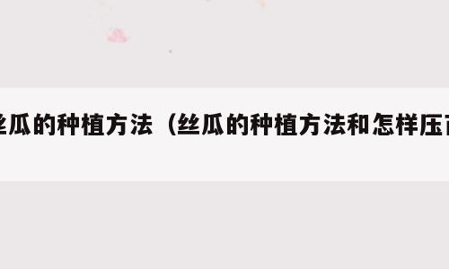 丝瓜的种植方法（丝瓜的种植方法和怎样压苗）