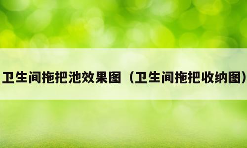 卫生间拖把池效果图（卫生间拖把收纳图）
