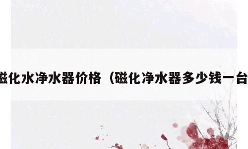 磁化水净水器价格（磁化净水器多少钱一台）