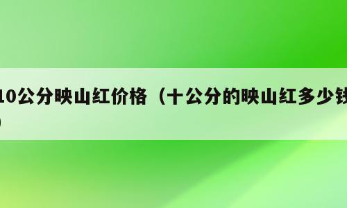 10公分映山红价格（十公分的映山红多少钱）
