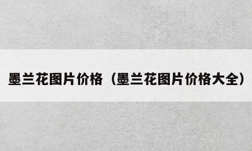 墨兰花图片价格（墨兰花图片价格大全）