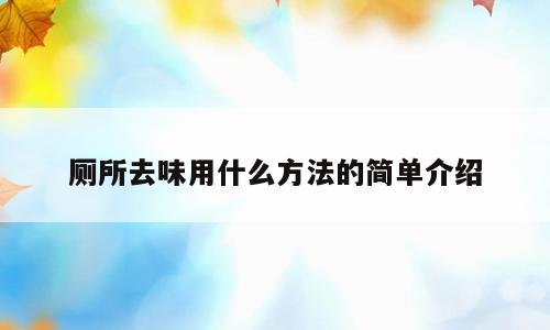 厕所去味用什么方法的简单介绍