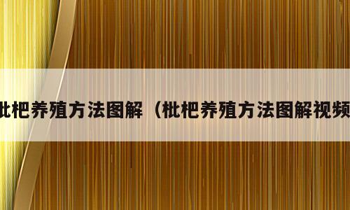 枇杷养殖方法图解（枇杷养殖方法图解视频）