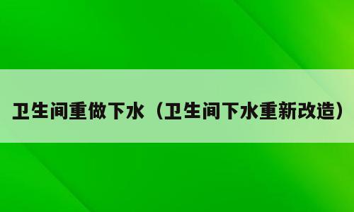 卫生间重做下水（卫生间下水重新改造）