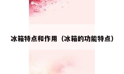 冰箱特点和作用（冰箱的功能特点）