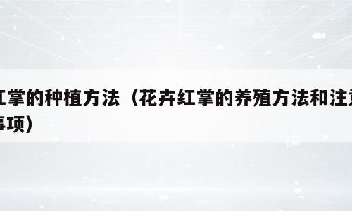 红掌的种植方法（花卉红掌的养殖方法和注意事项）