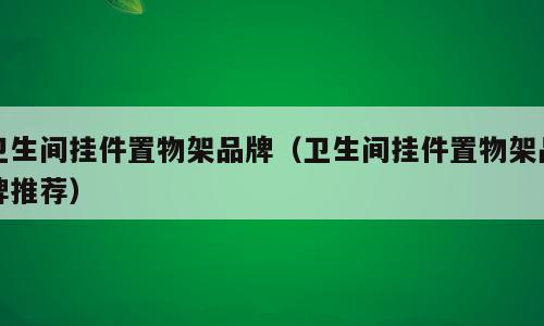 卫生间挂件置物架品牌（卫生间挂件置物架品牌推荐）
