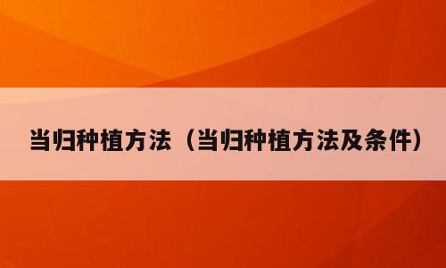 当归种植方法（当归种植方法及条件）