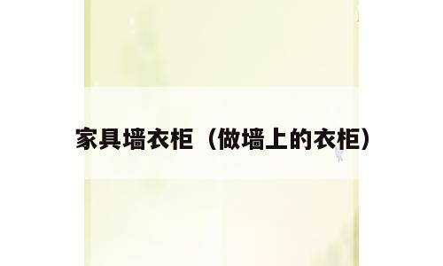 家具墙衣柜（做墙上的衣柜）