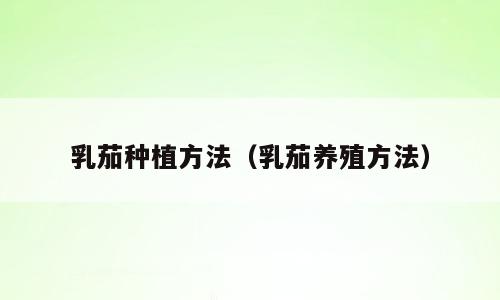 乳茄种植方法（乳茄养殖方法）