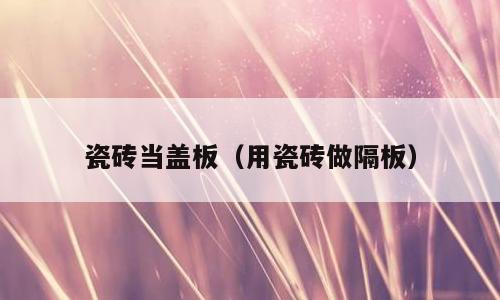 瓷砖当盖板（用瓷砖做隔板）