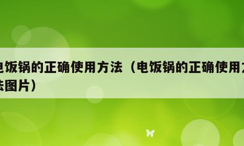 电饭锅的正确使用方法（电饭锅的正确使用方法图片）