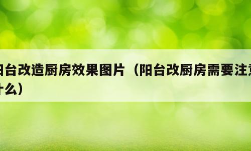 阳台改造厨房效果图片（阳台改厨房需要注意什么）