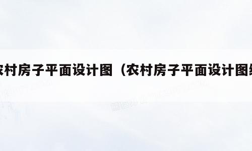农村房子平面设计图（农村房子平面设计图纸）