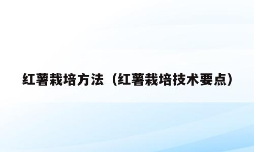红薯栽培方法（红薯栽培技术要点）