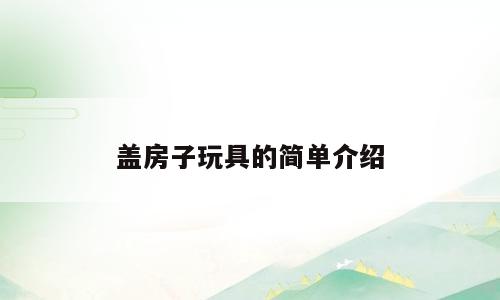 盖房子玩具的简单介绍