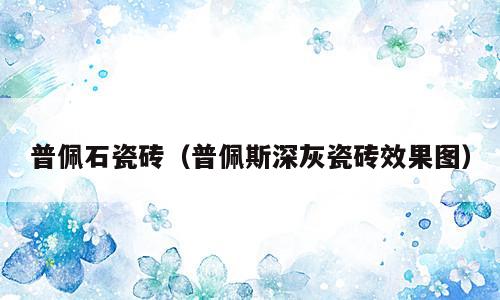 普佩石瓷砖（普佩斯深灰瓷砖效果图）
