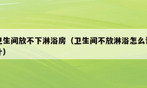 卫生间放不下淋浴房（卫生间不放淋浴怎么设计）