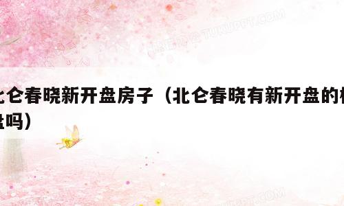 北仑春晓新开盘房子（北仑春晓有新开盘的楼盘吗）