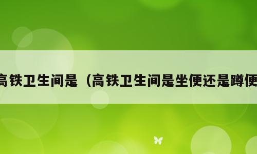高铁卫生间是（高铁卫生间是坐便还是蹲便）