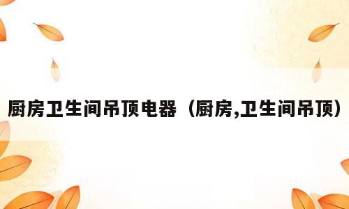 厨房卫生间吊顶电器（厨房,卫生间吊顶）
