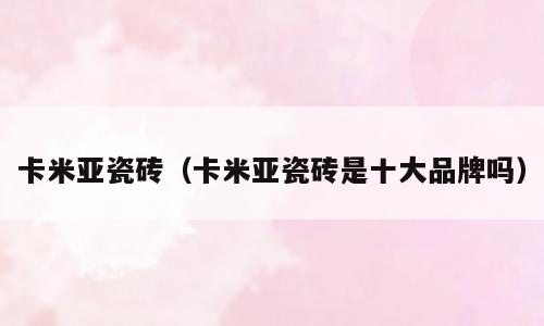 卡米亚瓷砖（卡米亚瓷砖是十大品牌吗）