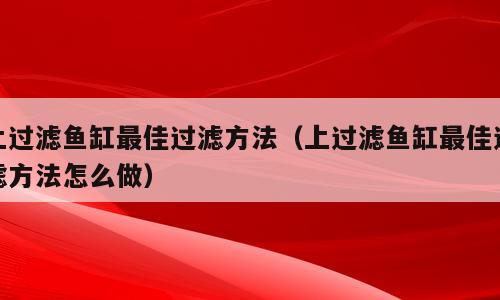 上过滤鱼缸最佳过滤方法（上过滤鱼缸最佳过滤方法怎么做）