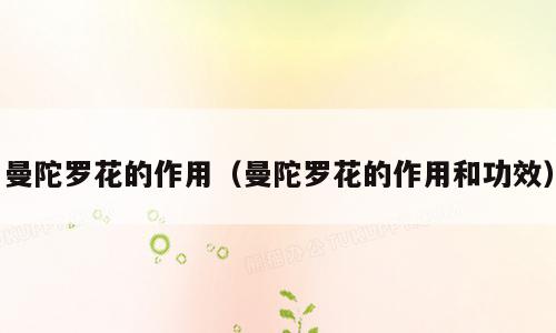曼陀罗花的作用（曼陀罗花的作用和功效）