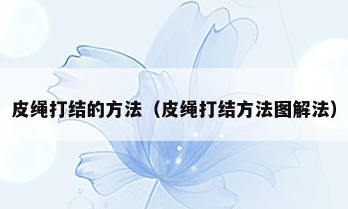 皮绳打结的方法（皮绳打结方法图解法）