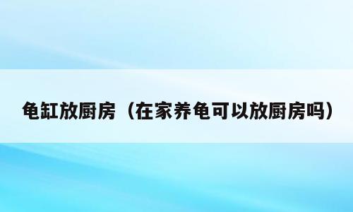 龟缸放厨房（在家养龟可以放厨房吗）
