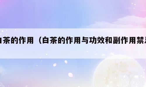 白茶的作用（白茶的作用与功效和副作用禁忌）